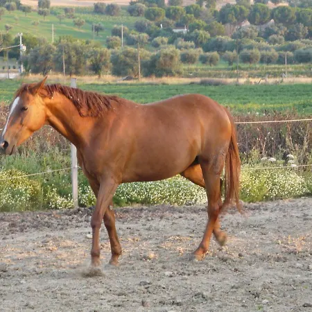 Casa di campagna Il Contadino E Il Mare *