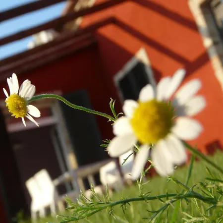 Il Contadino E Il Mare Casa di campagna *